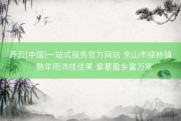 开云(中国)一站式服务官方网站 京山市绿林镇：熟年雨沛挂佳果 紫葚盈乡富万家