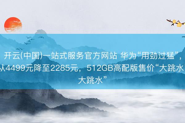 开云(中国)一站式服务官方网站 华为“用劲过猛”,从4499元降至2285元,512GB高配版售价“大跳水”