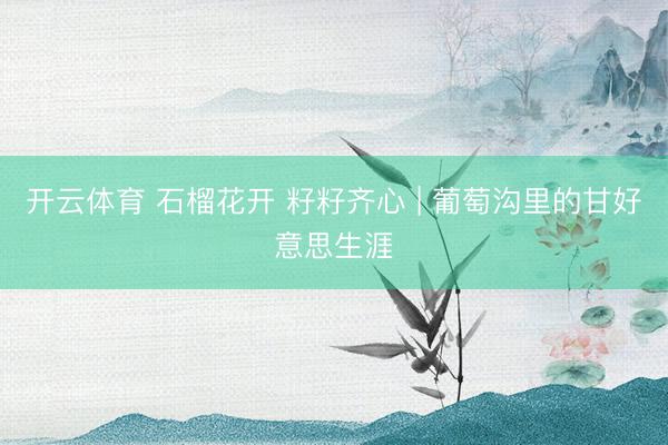 开云体育 石榴花开 籽籽齐心 | 葡萄沟里的甘好意思生涯