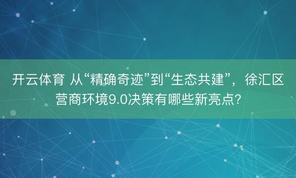 开云体育 从“精确奇迹”到“生态共建”，徐汇区营商环境9.0决策有哪些新亮点？