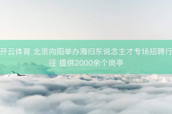 开云体育 北京向阳举办海归东说念主才专场招聘行径 提供2000余个岗亭