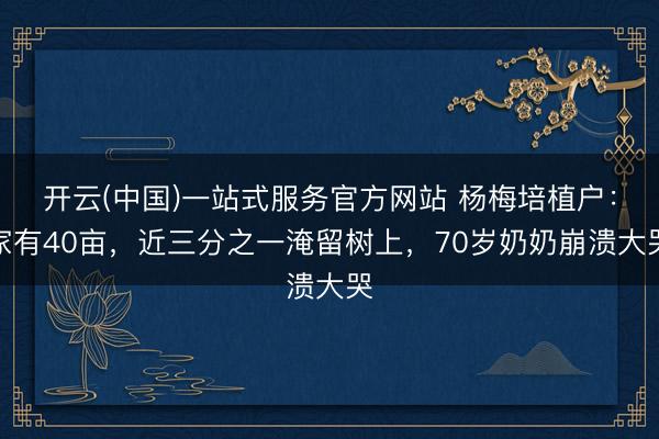 开云(中国)一站式服务官方网站 杨梅培植户：家有40亩，近三分之一淹留树上，70岁奶奶崩溃大哭