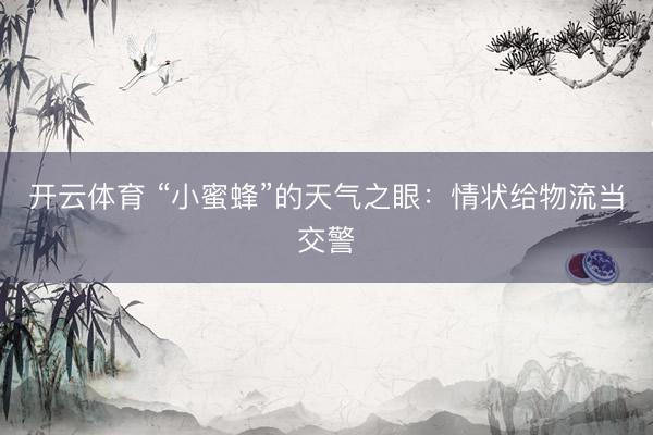 开云体育 “小蜜蜂”的天气之眼:情状给物流当交警